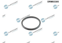 Sealing ring, charge air hose
