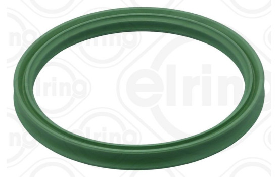 Sealing ring, charge air hose