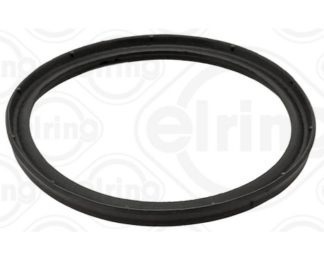 Sealing ring, charging air hose