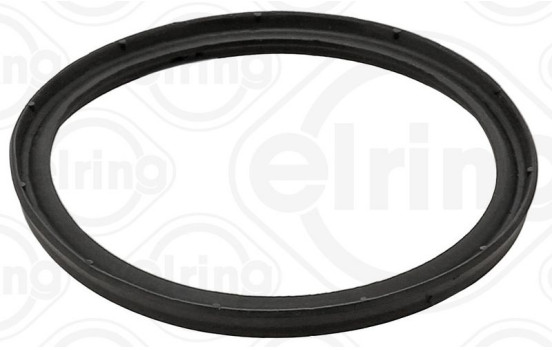 Sealing ring, charging air hose