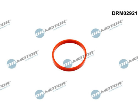 Sealing ring, charging air hose