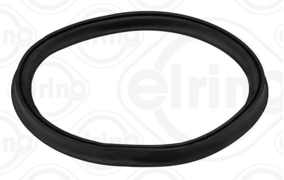 Sealing ring