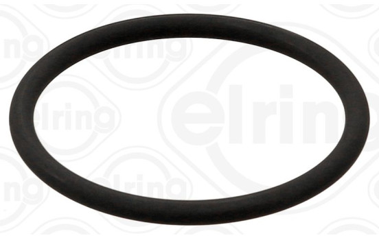 Sealing ring, Image 2