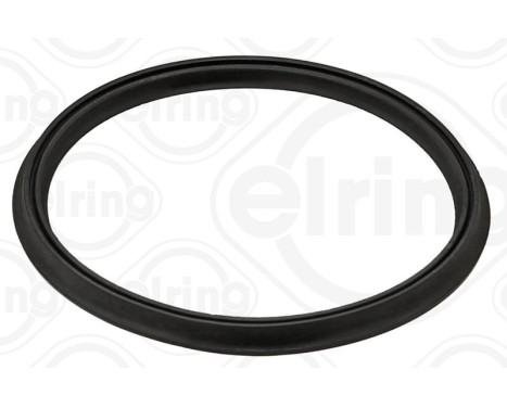 Sealing ring