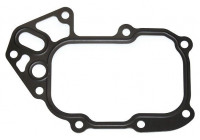 Gasket, oil cooler