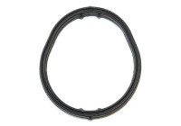 Gasket, oil cooler