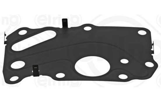 Gasket, oil cooler