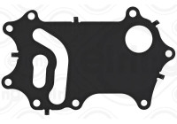 Gasket, oil cooler