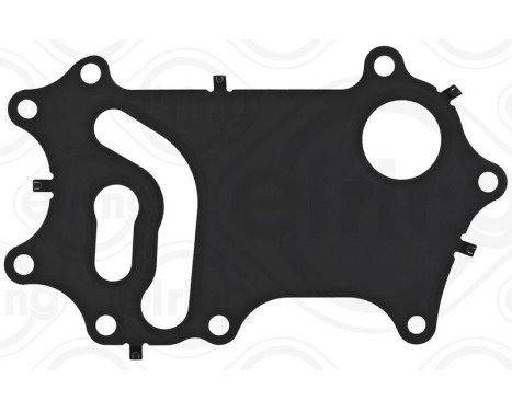 Gasket, oil cooler