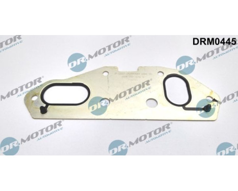 Gasket, oil cooler