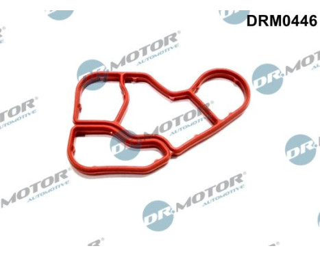 Gasket, oil cooler