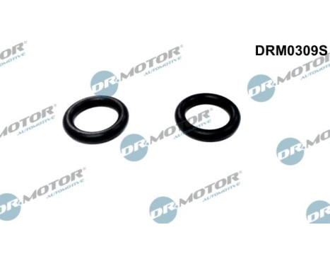 Gasket, oil cooler