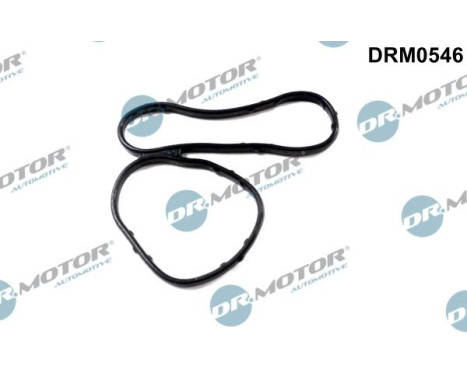 Gasket, oil cooler