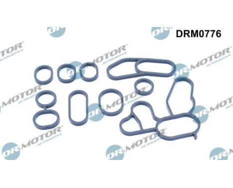 Gasket, oil cooler