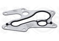Gasket, oil cooler