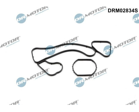 Gasket, oil cooler