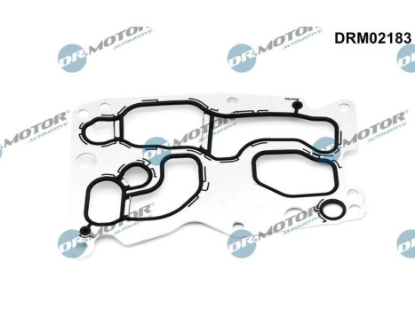 Gasket, oil cooler