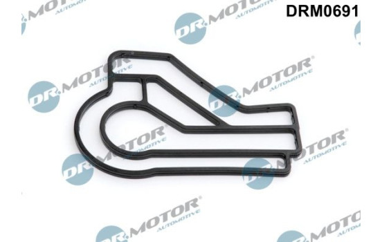 Gasket, oil cooler