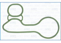 Gasket, oil cooler