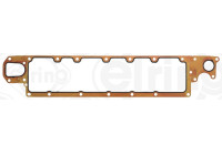 Gasket, oil cooler