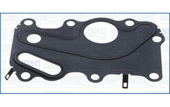 Gasket, oil cooler