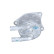 Oil cooler, automatic transmission, Thumbnail 2