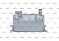 Oil Cooler, automatic transmission