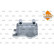 Oil Cooler, engine oil EASY FIT