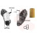 Oil cooler, engine oil *** IR PLUS *** 30013723 International Radiators, Thumbnail 2
