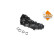 Oil cooler, engine oil