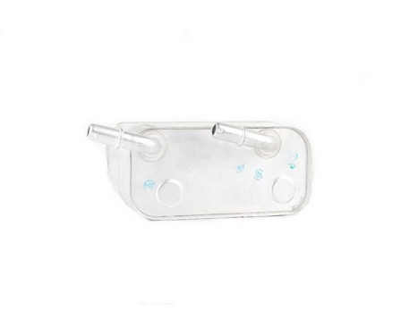 Oil cooler, engine oil