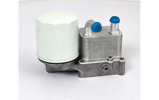 Oil cooler, engine oil