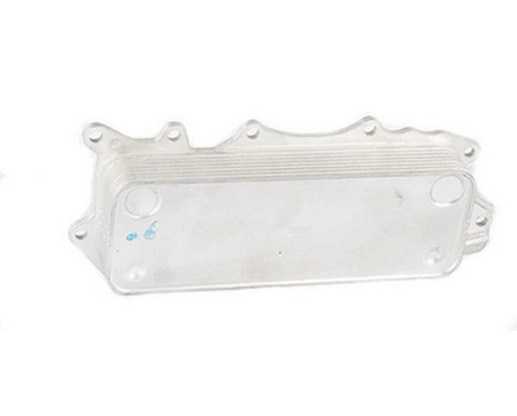 Oil cooler, engine oil