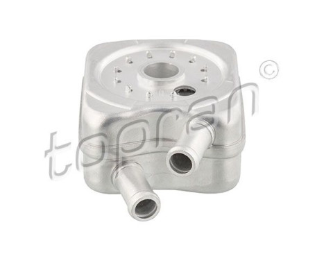 Oil cooler, engine oil