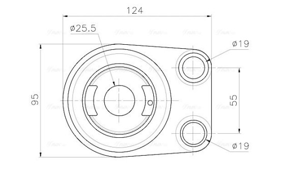 Oil cooler, engine oil