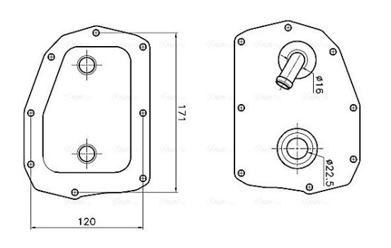 Oil cooler, engine oil