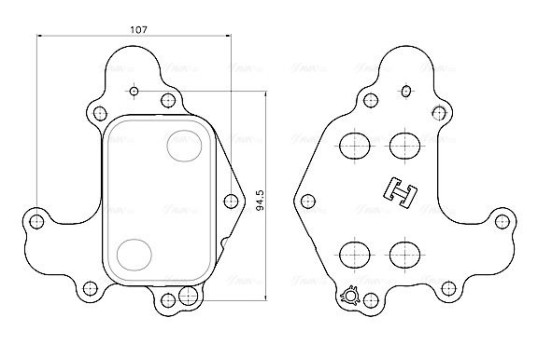 Oil cooler, engine oil