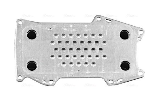 Oil Cooler, engine oil, Image 3
