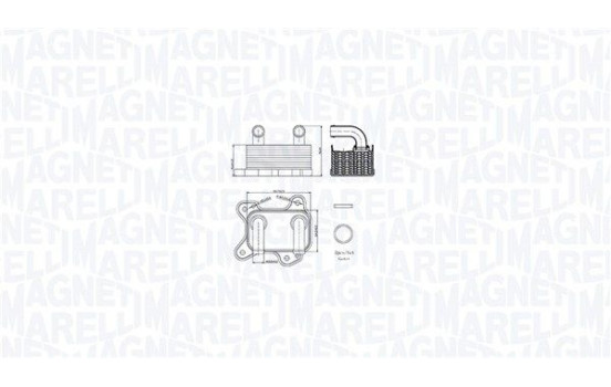 Oil cooler, engine oil