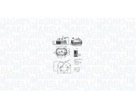 Oil cooler, engine oil
