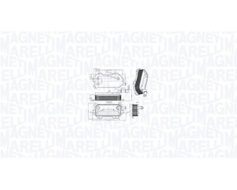 Oil cooler, engine oil