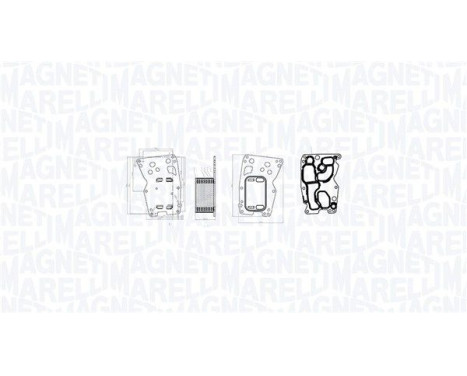 Oil cooler, engine oil