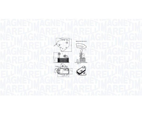 Oil cooler, engine oil