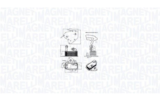 Oil cooler, engine oil