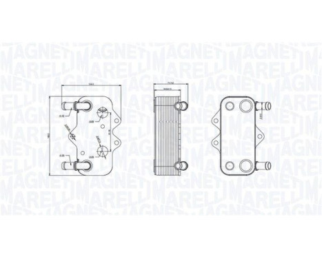 Oil cooler, engine oil