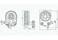 Oil cooler, engine oil