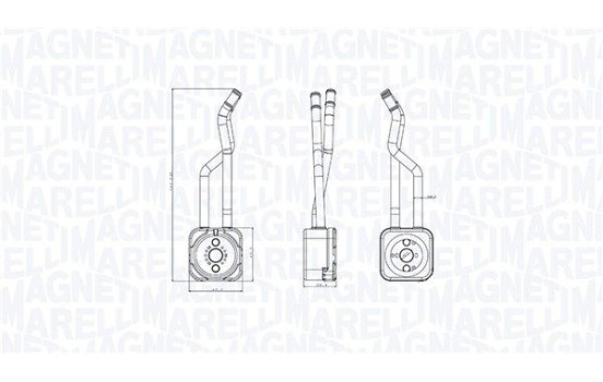Oil cooler, engine oil