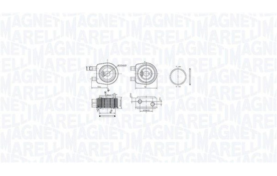 Oil cooler, engine oil