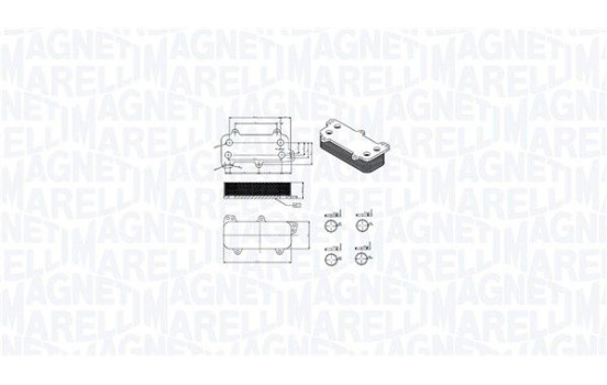 Oil cooler, engine oil