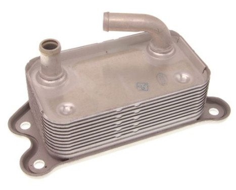 Oil cooler, engine oil